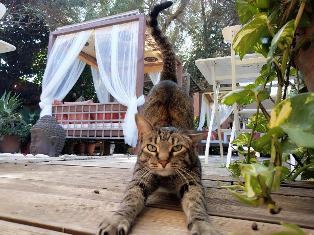 Готель La Posada De Lola - Adults Only Болонія Екстер'єр фото