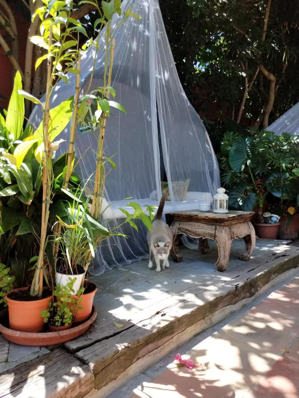 Готель La Posada De Lola - Adults Only Болонія Екстер'єр фото
